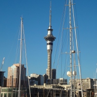 5 Things To Do During a 10 Hour Layover in Auckland, New Zealand